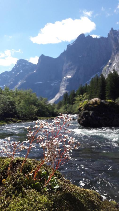 Trollveggen Camping 욘달스네스 외부 사진